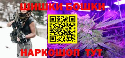 индика Будённовск