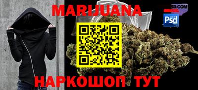индика Будённовск