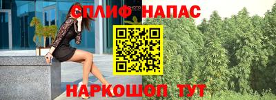 индика Будённовск